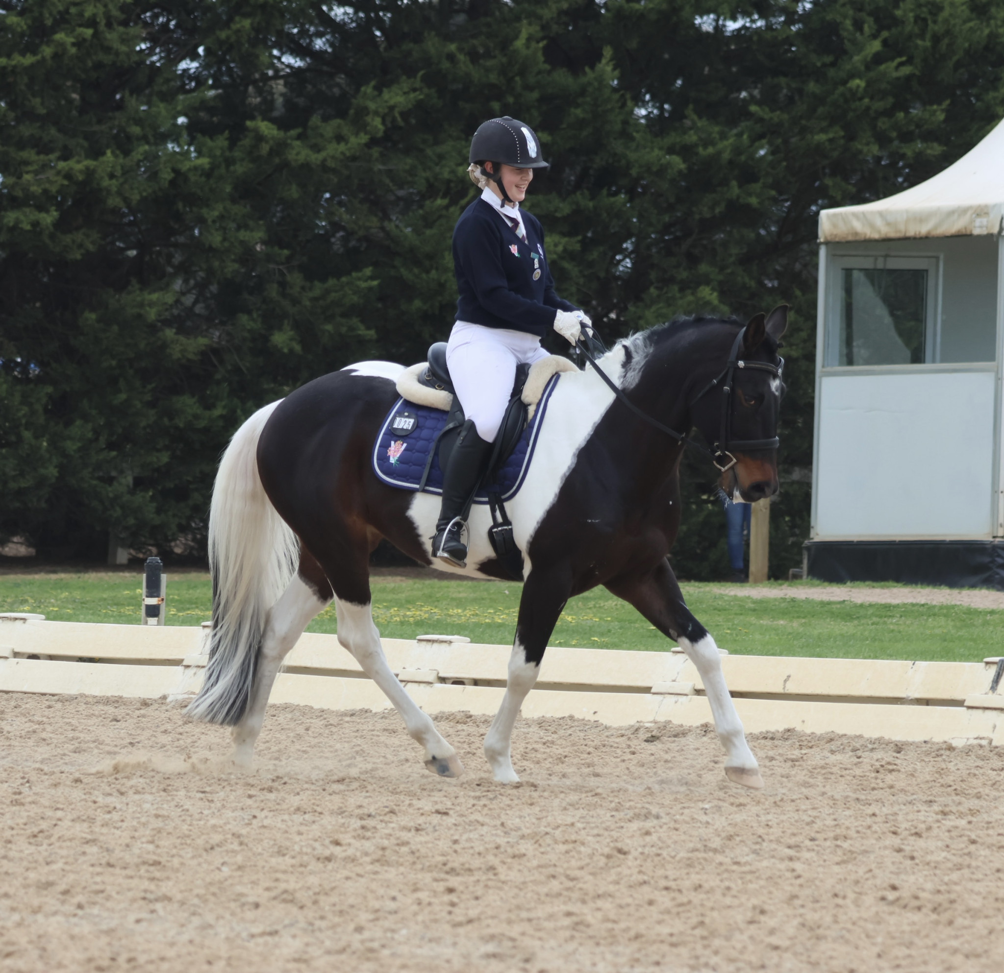 Asha Fiedler competes in the junior novice dressage competition during the Australian Pony Club National Championships.