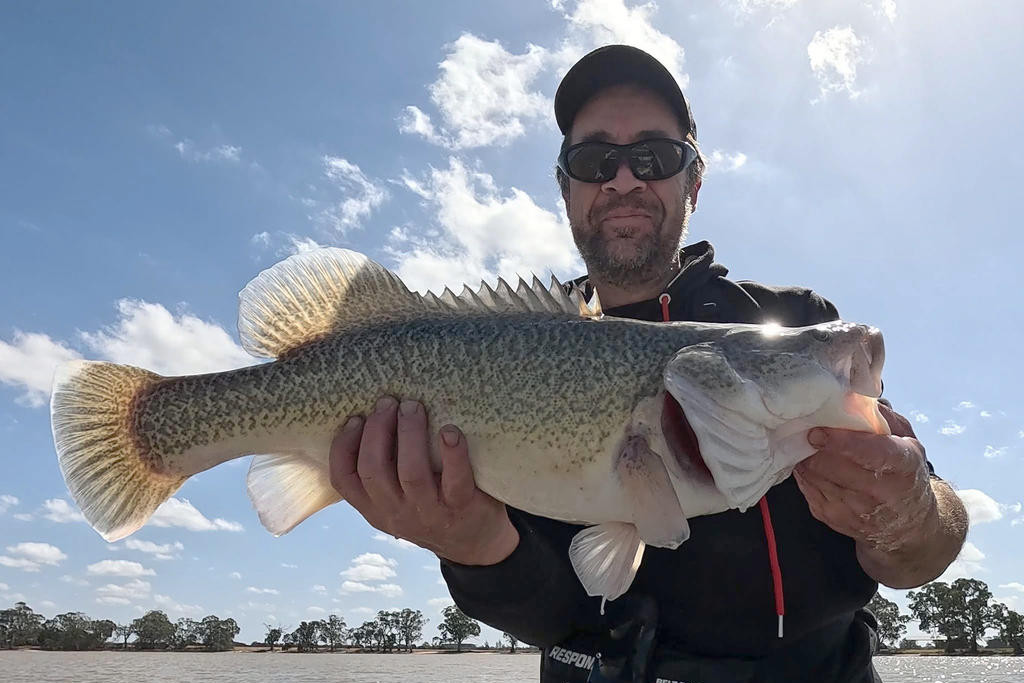 Alastair Vanstan with a hefty Murray Cod caught near Robinvale.