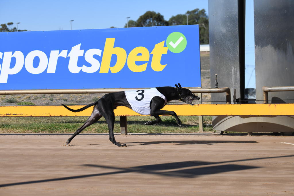 Dunach Fireball wins for Ian Robinson.