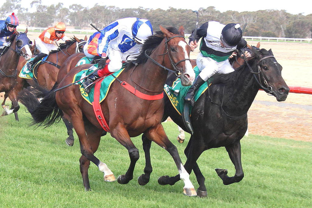 Littlebitcheeky edges out My Uncle Did It to record its maiden win at Donald on Monday.
