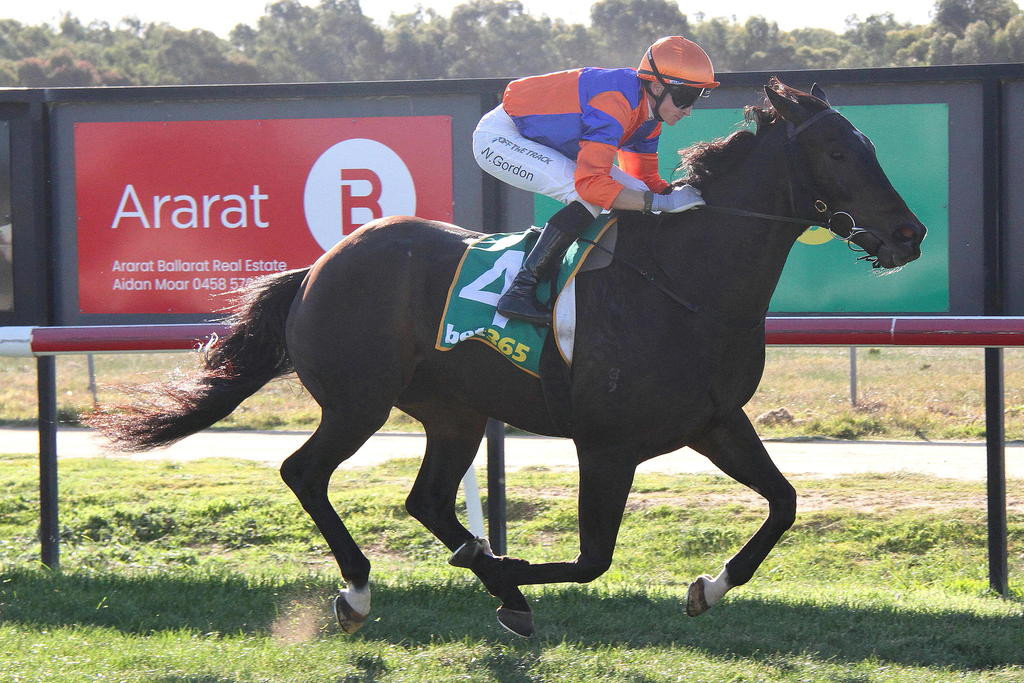 Photo: MATTHEW RIGBY