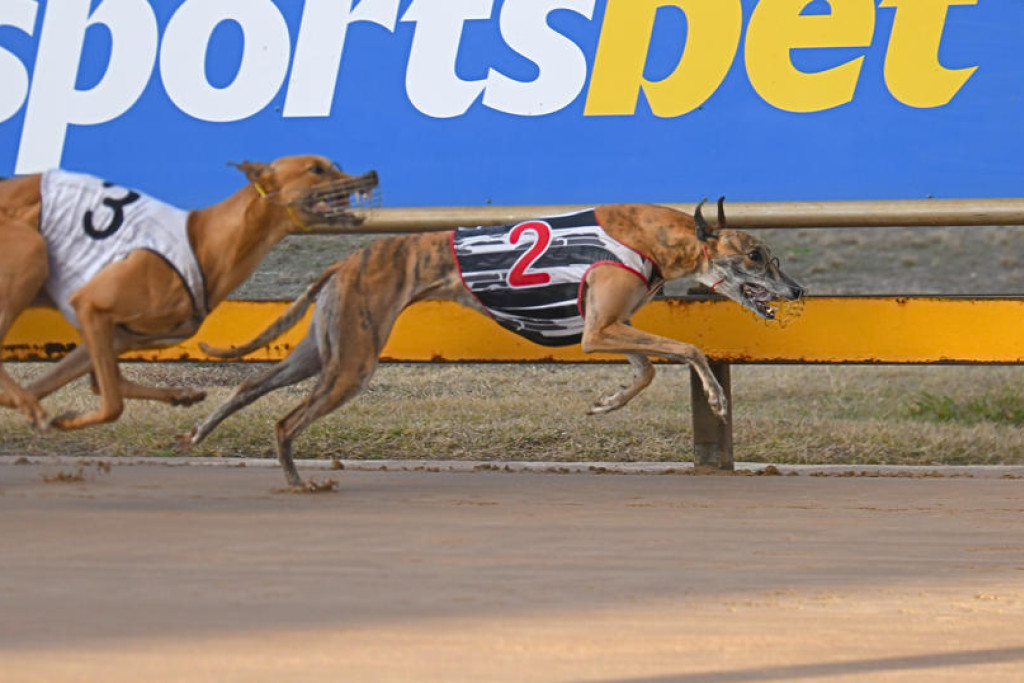 Weblec Marquise winning for Heather Baxter.