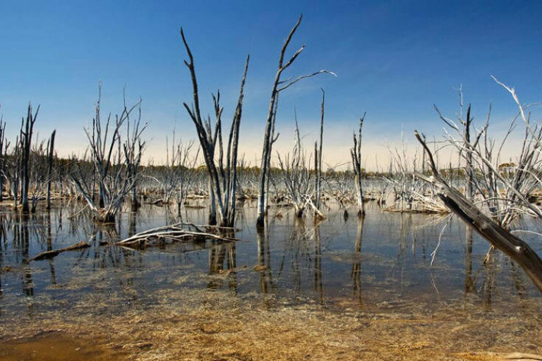 The Horsham Rural City Council and Northern Grampians Shire Council have jointly penned a letter to the Victorian Government regarding their exclusion from drought funding.