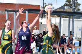 Demon defender Ebonie Salter looks to influence Nicole Polycarpou shot on goal.