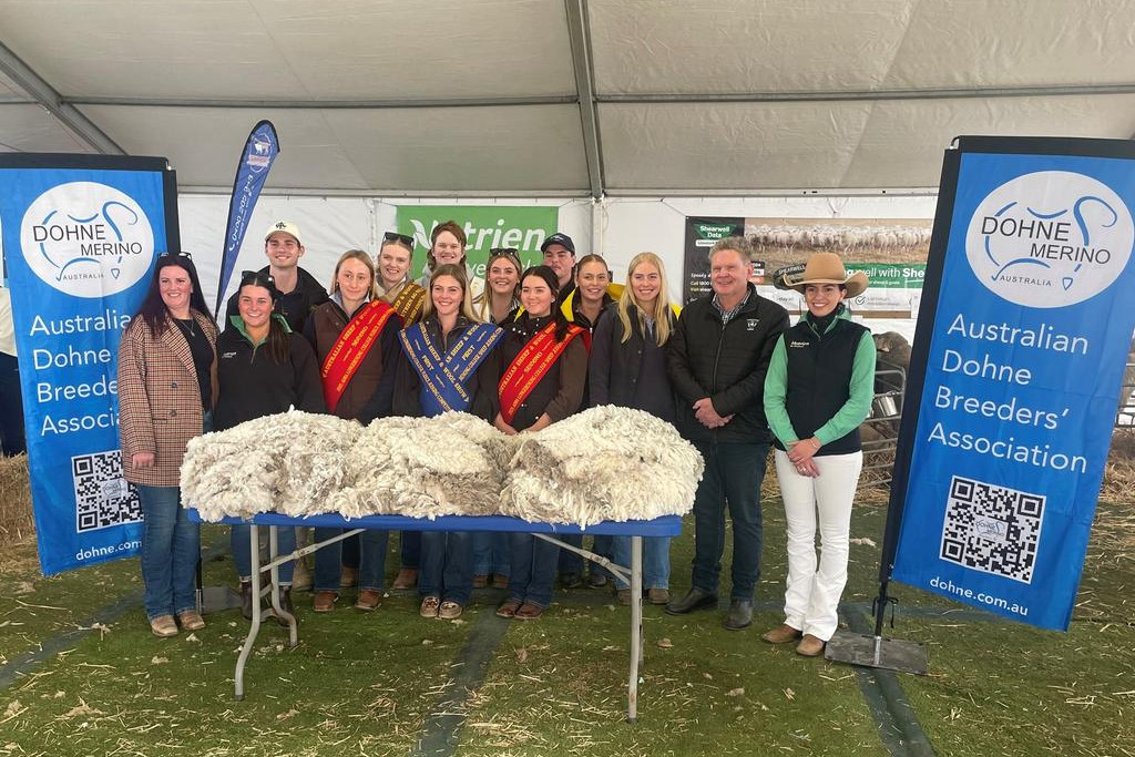 ASWS 2025 (Longerenong College Wool Classing students judging in the Dohne Pavillion at the Australian Sheep & Wool Show)