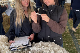 Wool Classing students, Katy Pollard from Axe Creek (L) and Lexie Heinrich from Echuca classing Dohne wool at the Australian Sheep and Wool Show