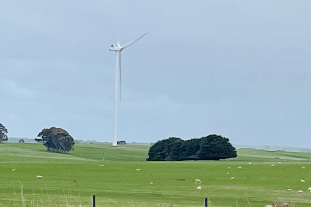 Wind turbines and solar panels are now part of livestock food safety checks. One year on, producers are weighing the impact of LPA changes on farms &ndash; and their future.
