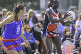 Dee Dee Lambert scored a game high 30 goals for the Saints.