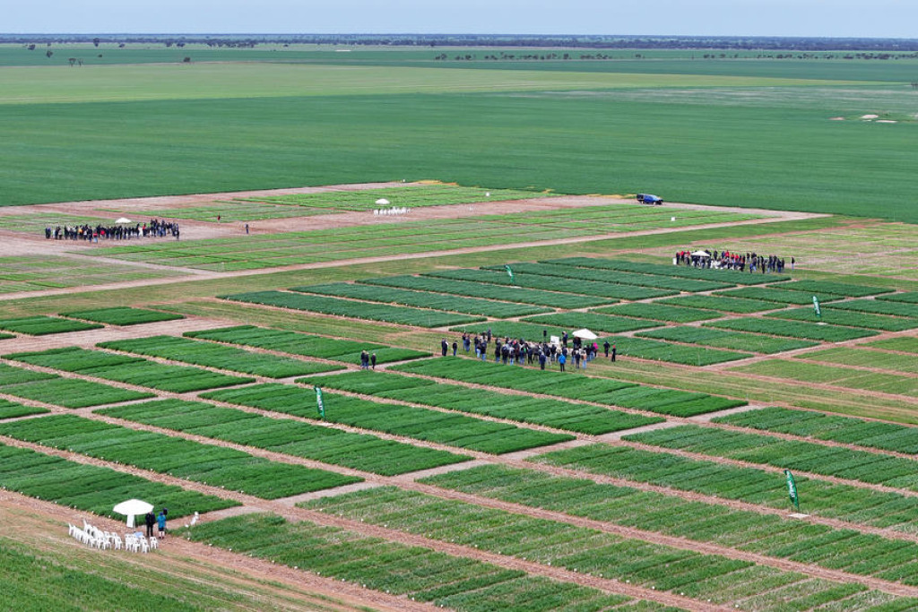 Leading CSIRO researchers joined Birchip Cropping Group this week to explore the next big innovations in Aussie farming &mdash; from data-driven tools to local fertiliser production.