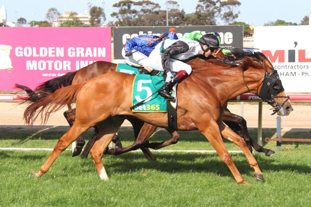 Dublin Journal, winner of the 2024 Horsham Cup, ridden by jockey Fred Kersley.