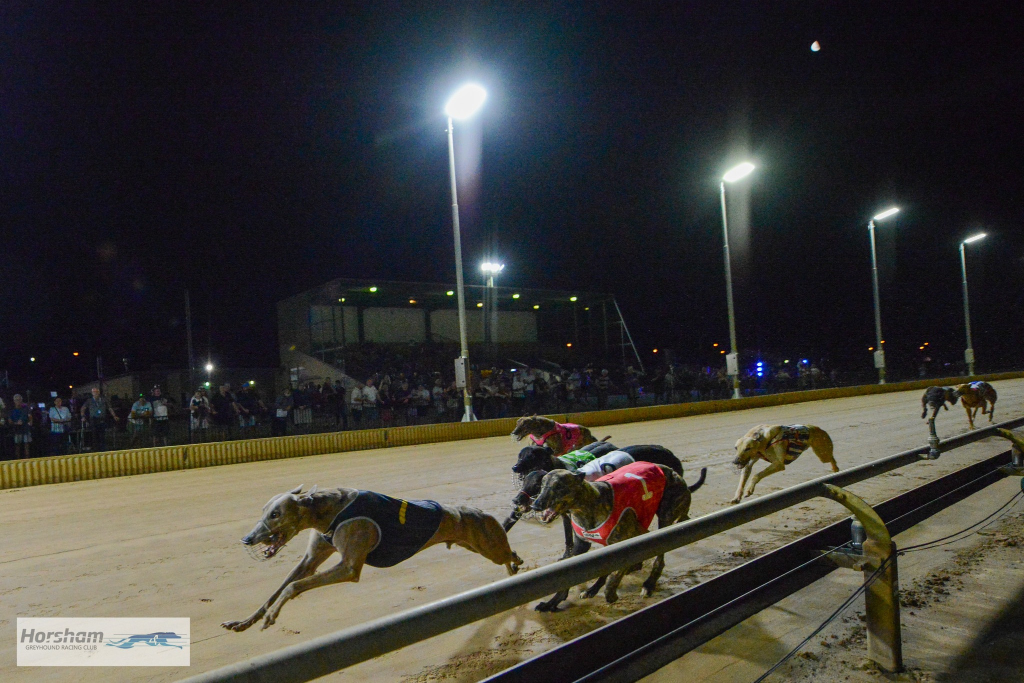 Horsham Cup winner Flying Zulu powers to victory. PHOTO: BLUESTREAM PICTURES