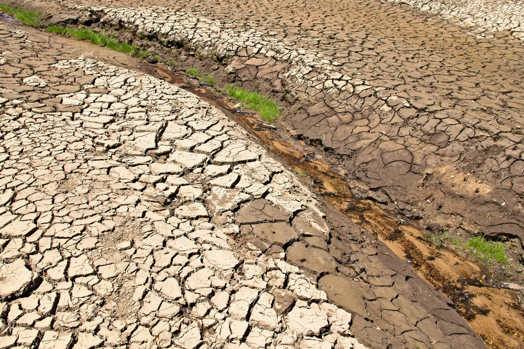 The Hindmarsh Shire Council has written to the federal Member of Parliament and the Victorian Shadow Minister for Agriculture regarding the drought residents are facing across the shire.