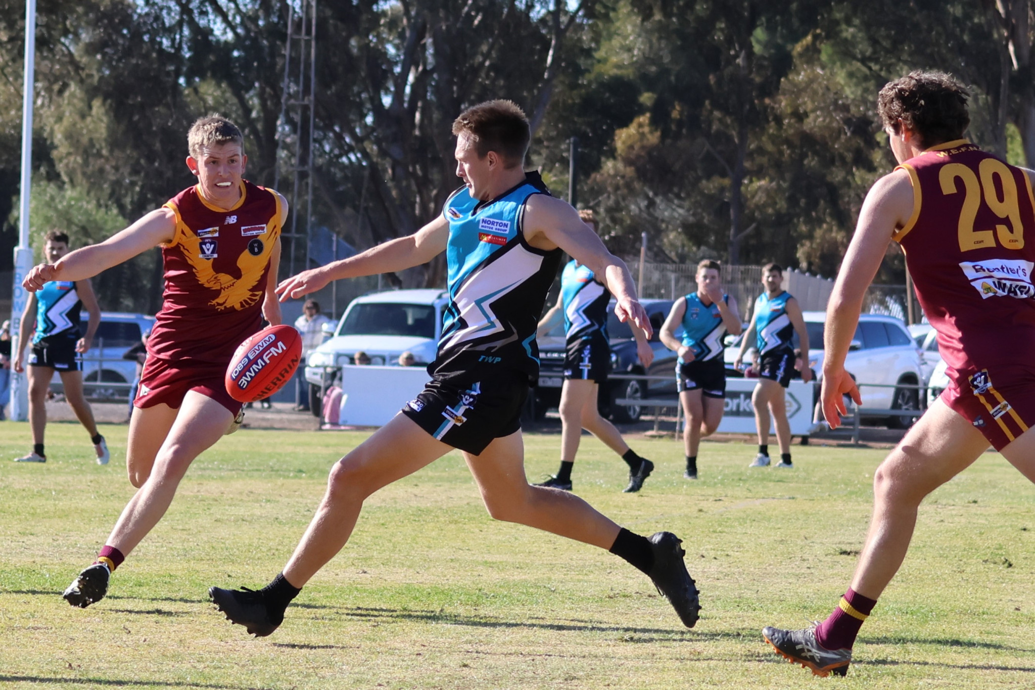 Coleman Schache looks to get his boot to the footy. Photo: LES GRAETZ