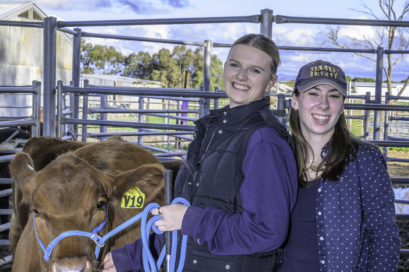 Longerenong Agricultural College first-year students Lucy Sharp and Bella Lugt stand proudly with one of the steers they are preparing for the 2025 Royal Melbourne Show. Both are Agriculture students and will be part of Longy&rsquo;s field team, presenting in handler and breed competitions. The group of 10 students will spend four days at the show caring for and showcasing the cattle.