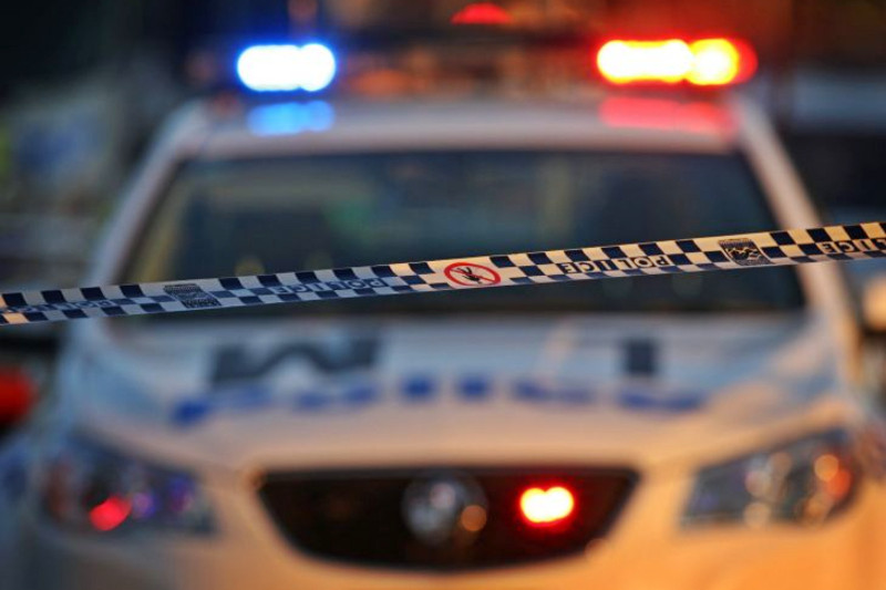 Police seized about 1300 cannabis plants at a Glenlee property