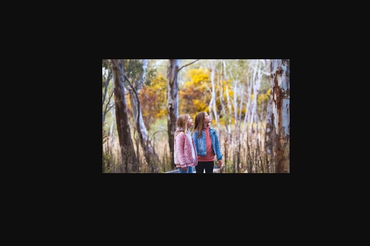 Council plan adopted - feature photo