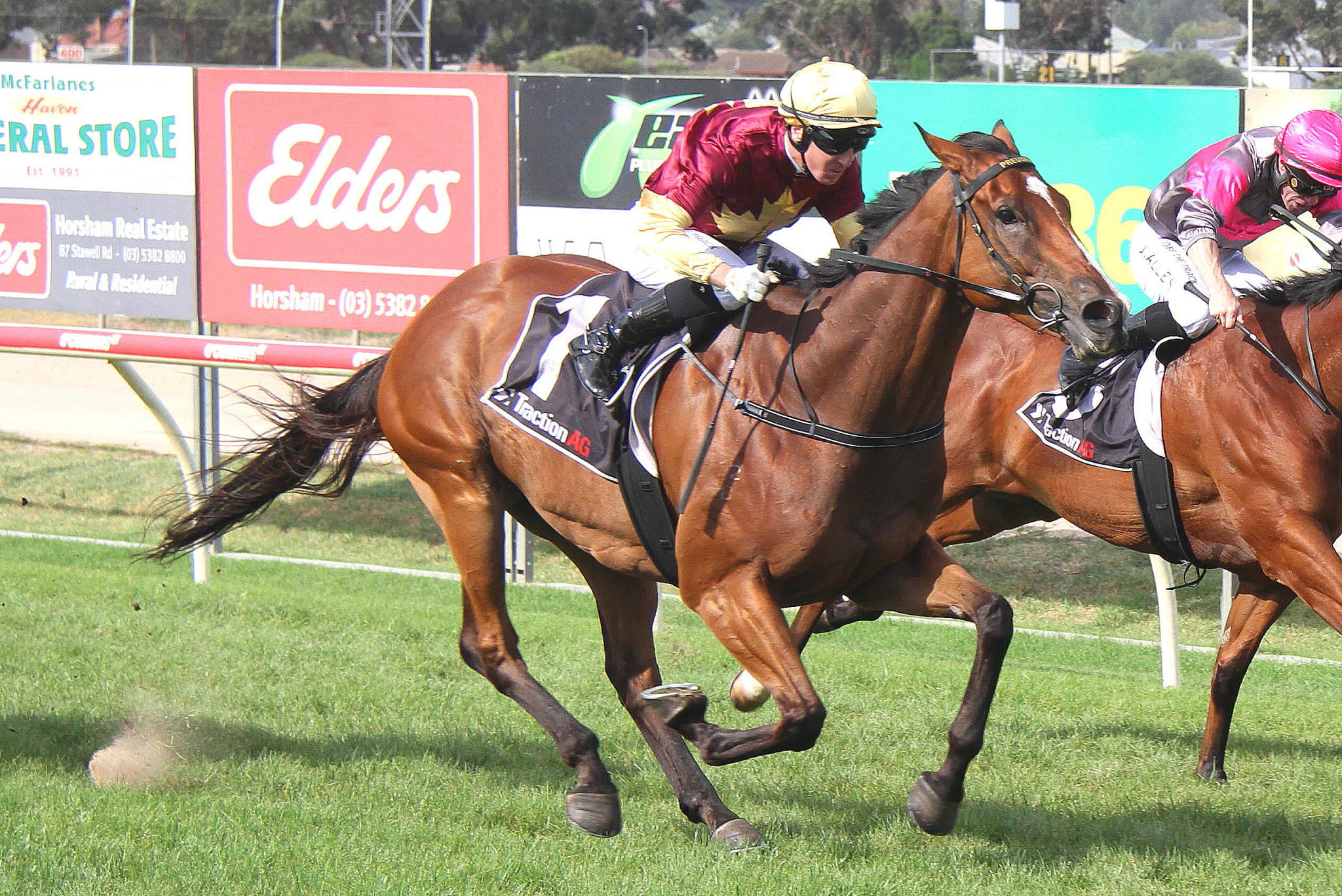 Race 7 Oak Park Rebel and Ryan Hurdle. PHOTO: MATTHEW RIGBY